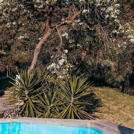Alojamento de Turismo Rural Missanega Monterosso al Mare