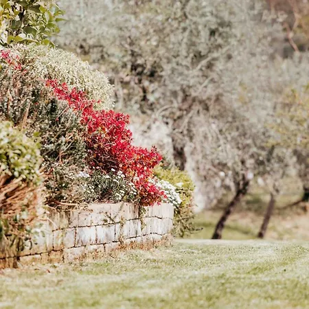 Missanega * Monterosso al Mare