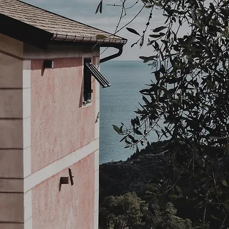 Lantgård Missanega Monterosso al Mare