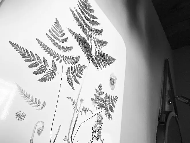 Missanega Agroturismo Monterosso al Mare