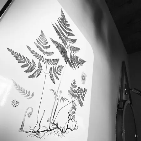 Missanega Séjour à la ferme Monterosso al Mare