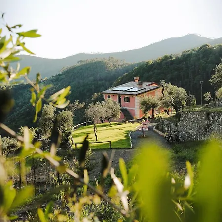 Missanega Farm stay